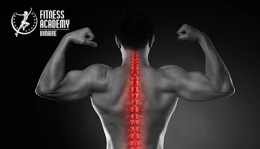 статья_КЛАСИФИКАЦИЯ